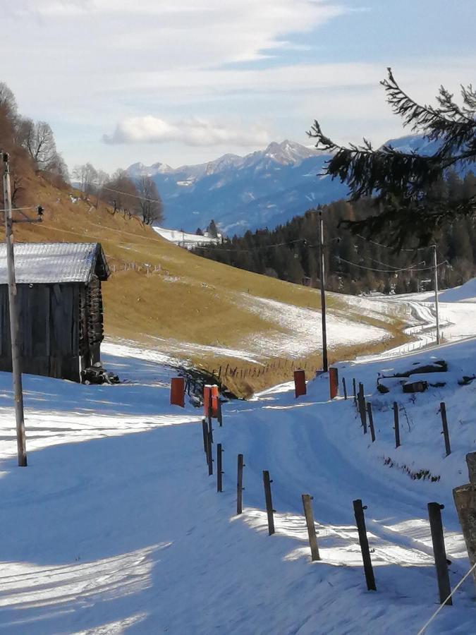 Haus Jessica Incl National Park Sommercard Mittersill Exterior photo